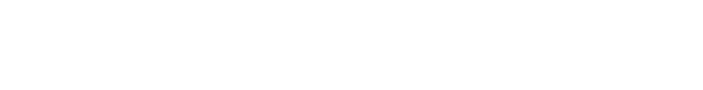 Audi Tire Advantage