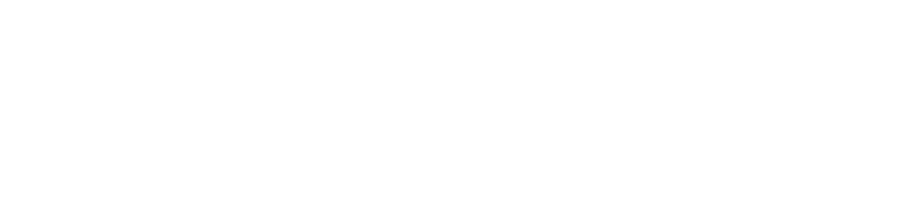 VW Boutique du pneu